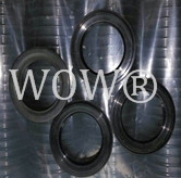 WOW-OS06