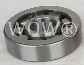 Cylindrical roller bearing